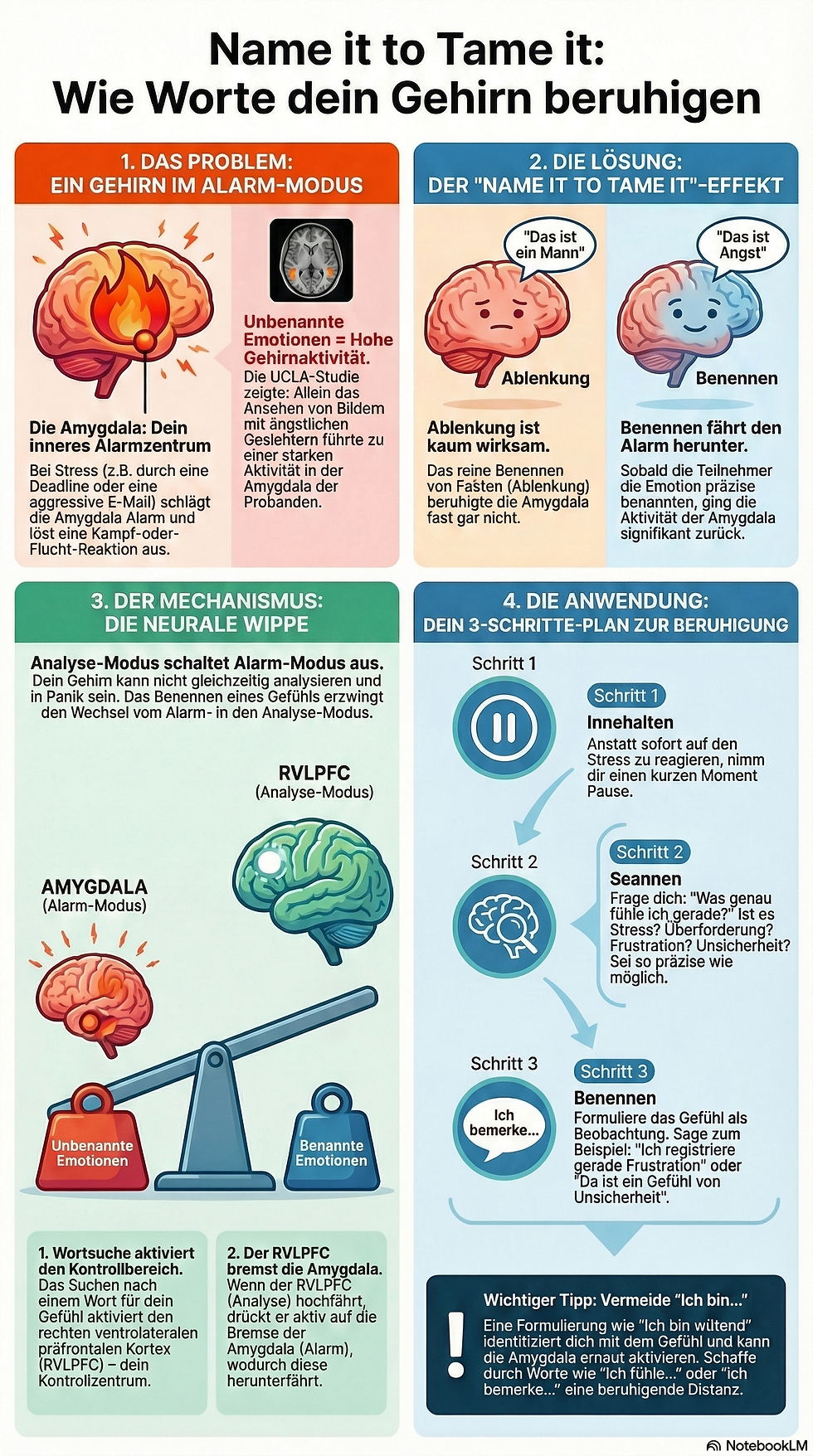 Infografik zu Name it, Tame it