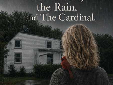 The House, the Rain, and the Cardinal