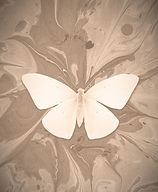 Butterfly on Ink _edited.jpg