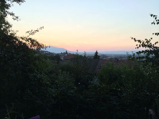 Team Brasov : Saturday Update