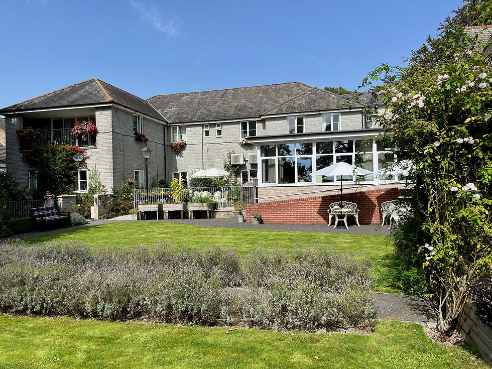 Garden 4