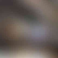 Wittmann, PLAST EURASòA 2022 FUARI, TÜYAP, 270 M2, OMNi SYSTEM