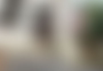 Série documental apresenta um novo olhar sobre a causa da defesa animal