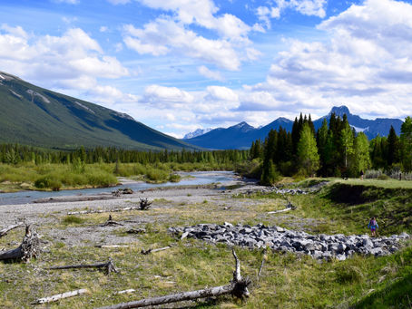Staunend durch die Rockies