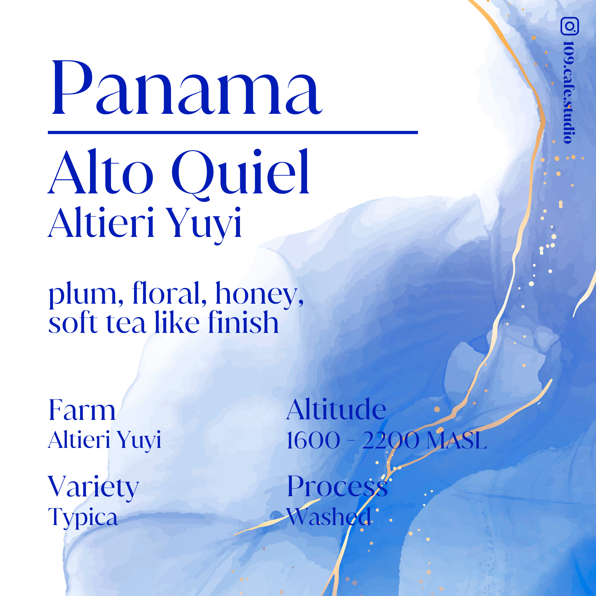 Panama / Altieri Yuyi / Typica