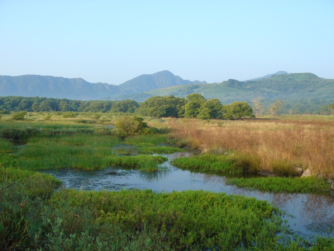 Humedales de agua dulce cienagasyhumedales