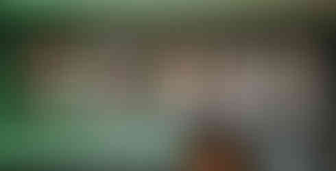 Frames holding album covers as part of ‘A Musical Snapshot: 1970 – 1999’ exhibition at The Old Grindstone