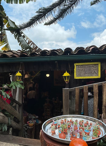 Traditional Colombian artisan market with handmade crafts and plants, reflecting the culture behind Soluna de Café specialty 