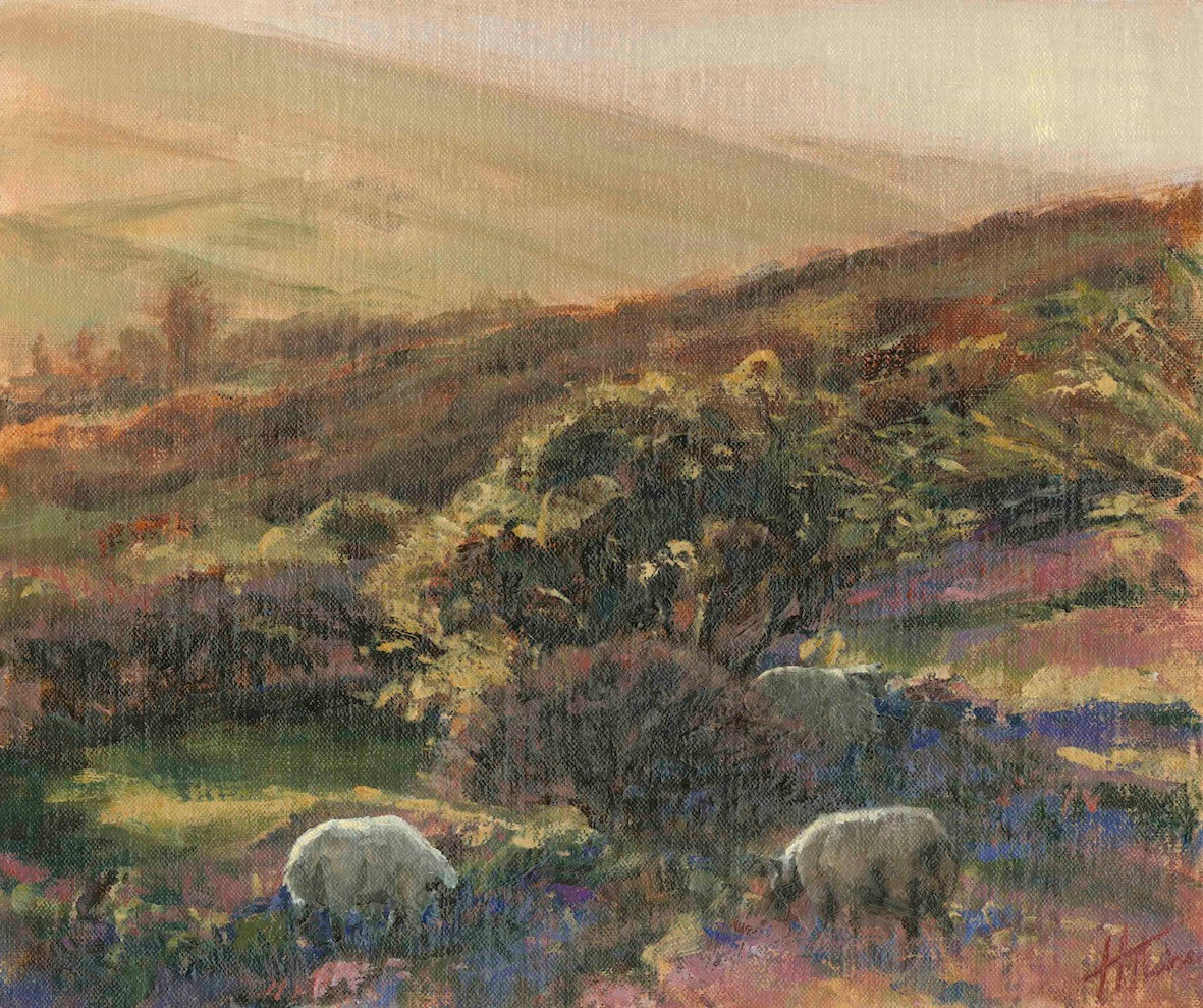 Early Morning Light, Dartmoor