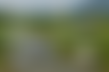 Have you been to the newLong Valley Nature Park?