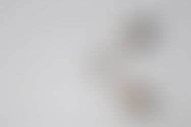 another Oriental......Oriental Storks and a duck