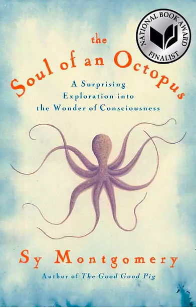 the soul of an octopus