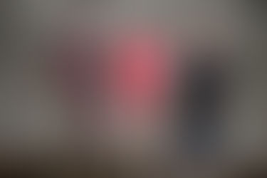 The Venomous land snakes of Hong Kong - part I of II
See www.wildcreatureshongkong.org tomorrow 4th