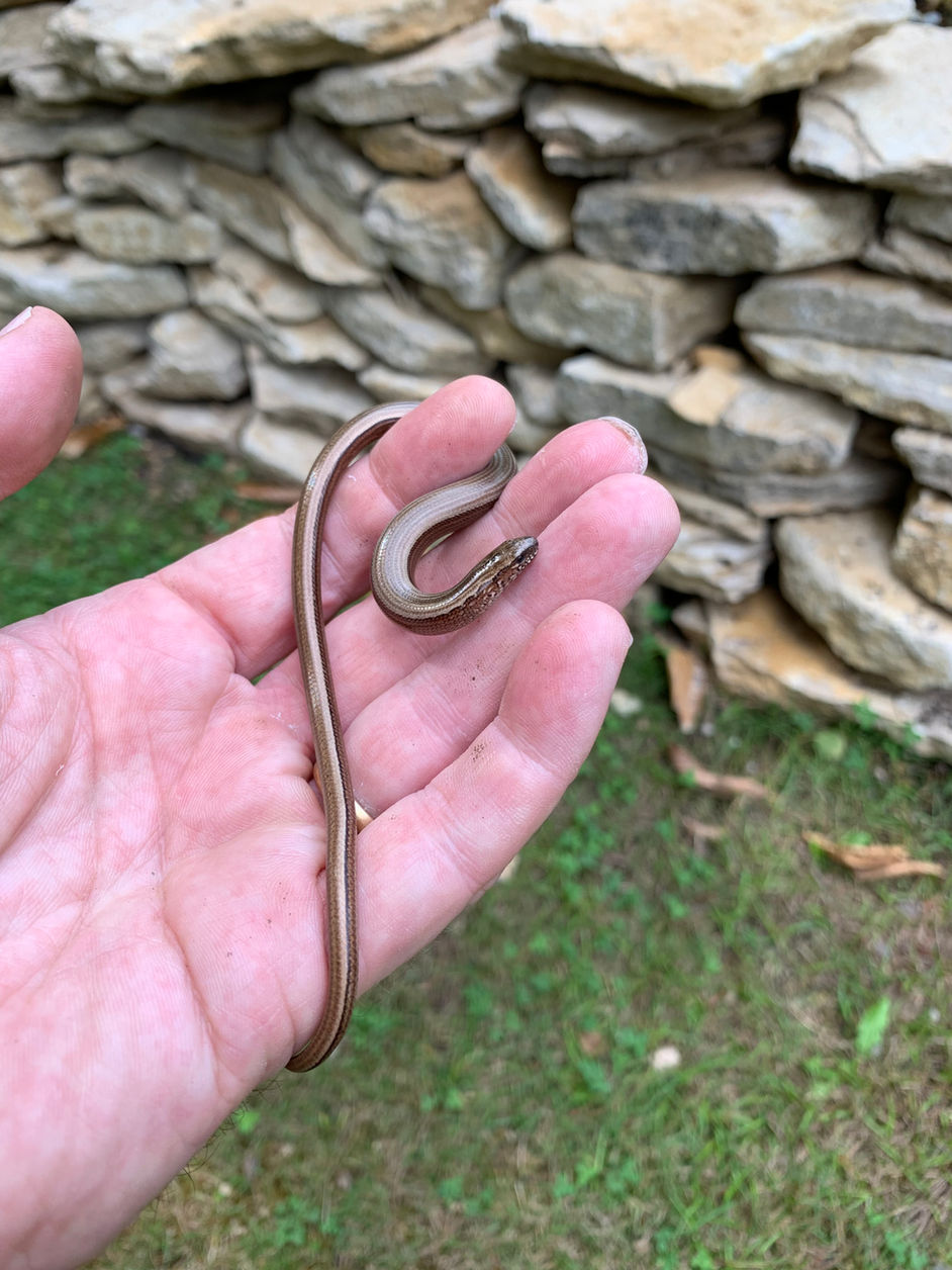 In the UK..for a few days.