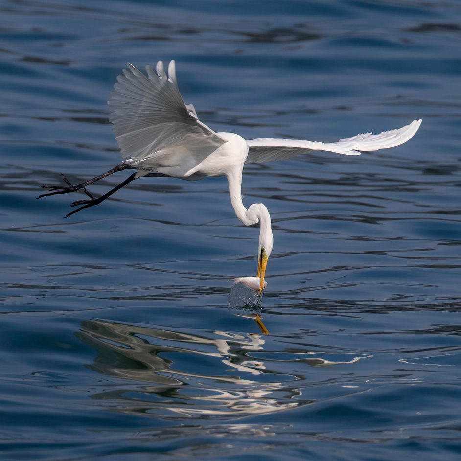 FISHING in Sai Kung