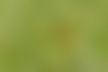 HONG KONG'S WETLAND PARK....part 2