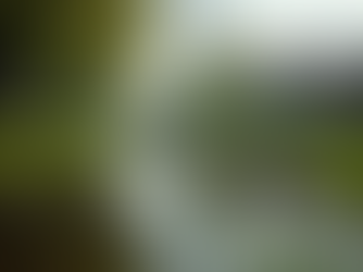 Enhancing Maryland Communities Through Effective Stormwater Management Solutions