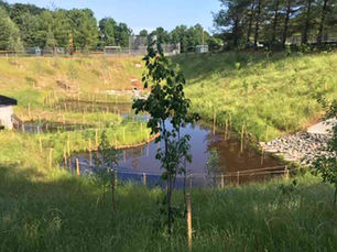 Project: Ballpark Facility Stormwater Basin Retrofit