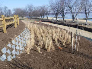 Project: State Park Living Wall Parking Lot 
