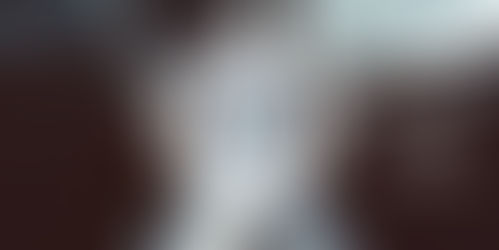 Lancement du blog et découverte de notre association