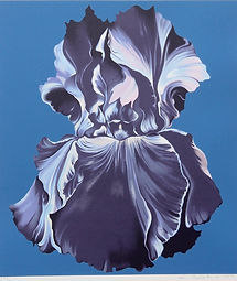 "Blue Tulip on Blue" by Lowell Nesbitt - Serigraph of blue tulip with purple highlights on blue background