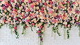 Lovely Rose Cascade-1-800-Flowers Virtual-Background_edited.jpg