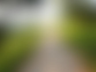 Beyond the Label: The Truth About Therapy Modalities