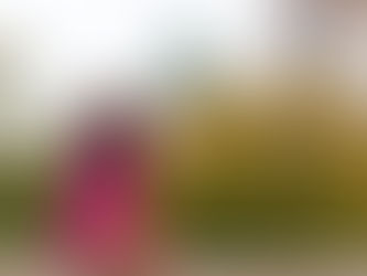 Paris for our 20th wedding anniversary