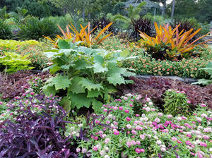 A planting design in secondary colors and jewel tones