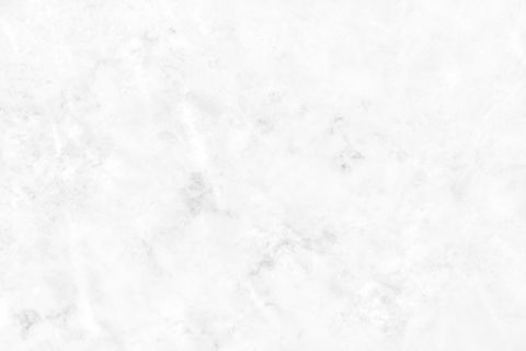 AdobeStock_448779298.jpeg