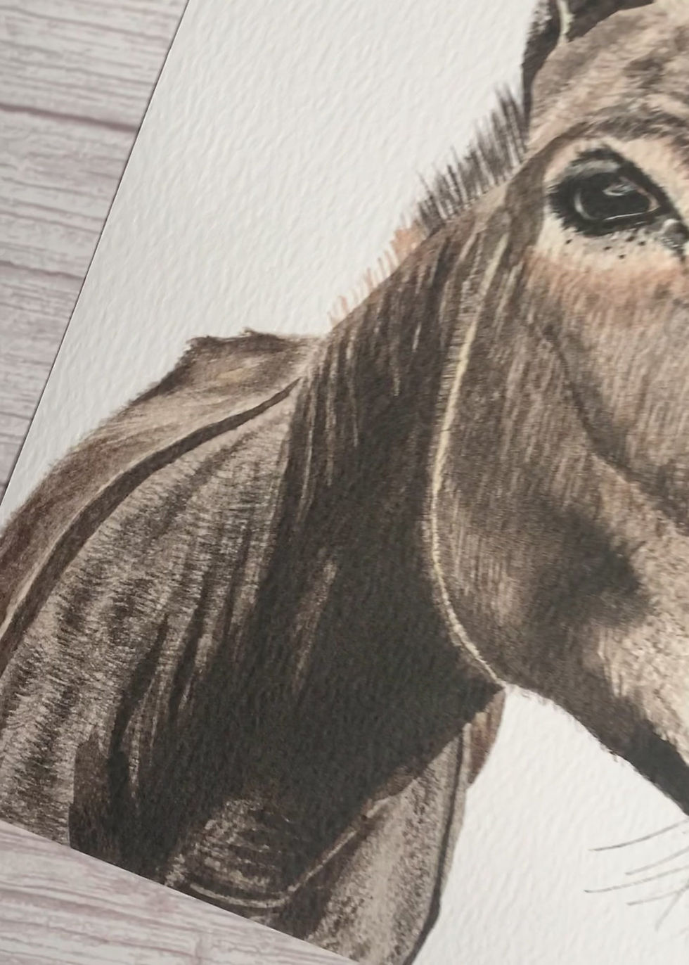 Thumbnail: Donkey - Signed Archival Art Print