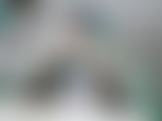 Passenger Cargo Vessel for Sale in India