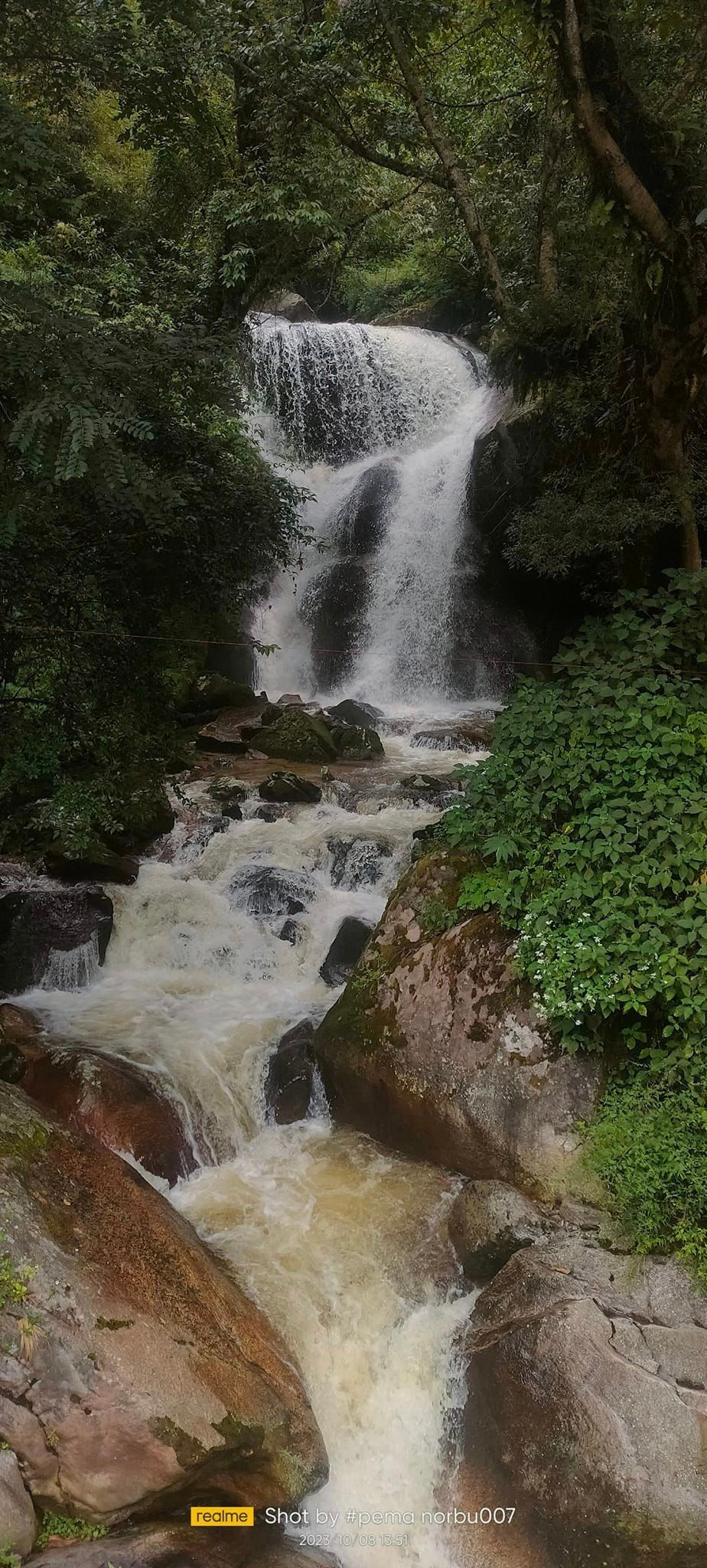 Pema Norbu_special mention.jpg