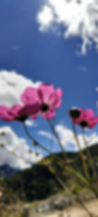 Ogen Dondup_3_edited.jpg