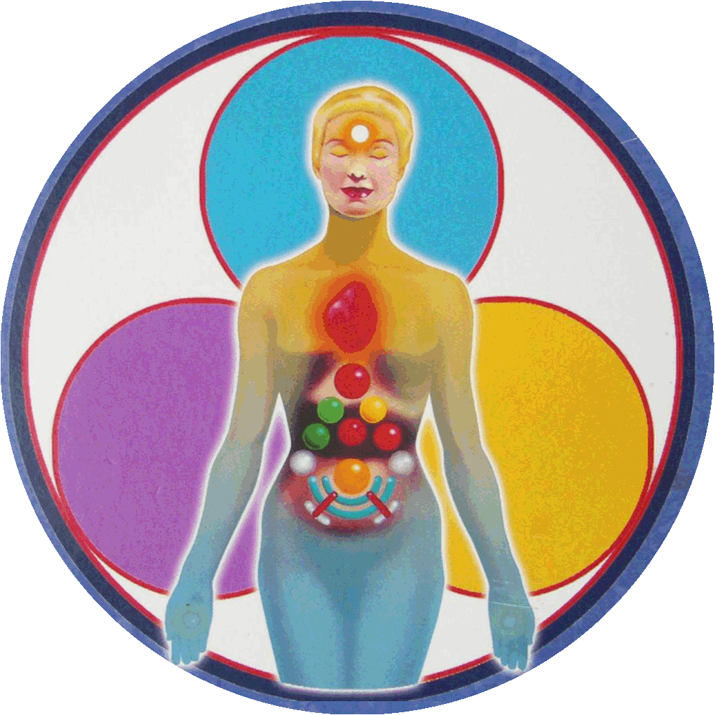 embodied sessions 3.gif