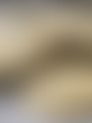 Olive Oil Lemon Poppy Seed Cookies