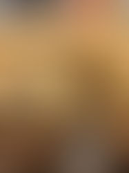 Ricotta Chocolate Chip Muffins