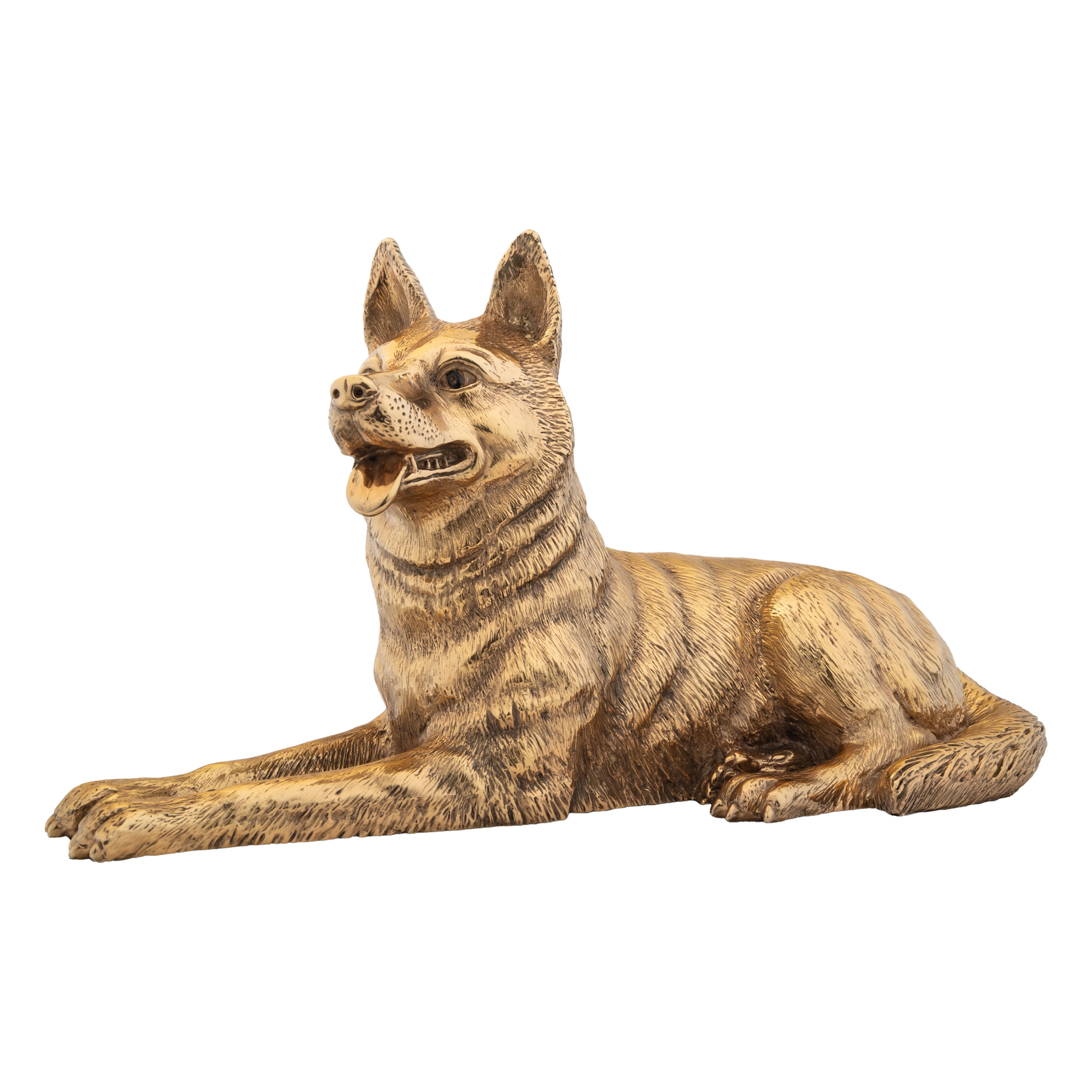Husky en Oro