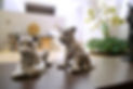 Silver leopard cub figurines on display