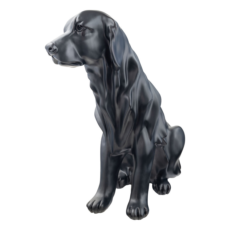 Miniatura: Golden Retriever Negro