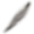 Close-up of a long, slender, metallic leaf-shaped object with serrated edges.