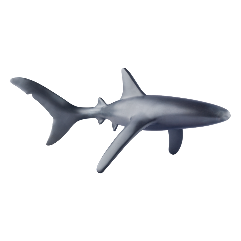 縮圖：Gray shark figurine
