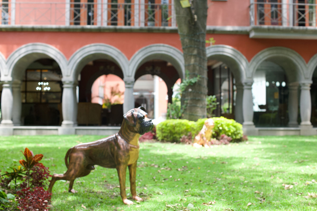Une statue de chien se dresse fièrement dans un jardin luxuriant, sur le fond d’une grande maison aux arches élégantes.