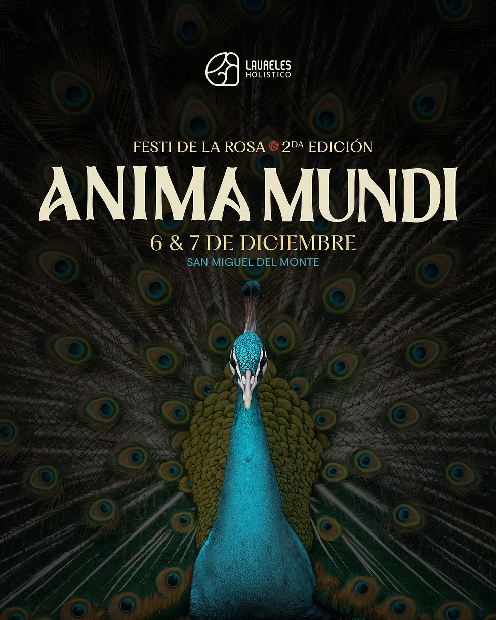 Festi de la Rosa 2° Edición ANIMA MUNDI