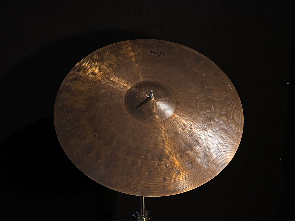 19" ESP Dark Star 1698g