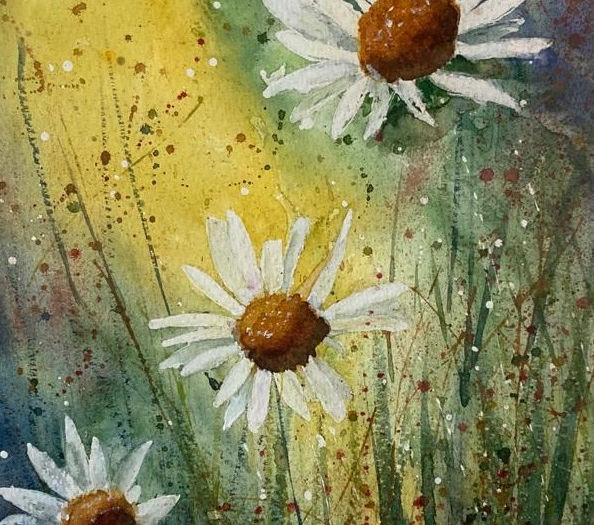 Watercolour painting of three daisies