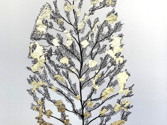 Pen and Ink skeleton leaf with gilt leaf detail