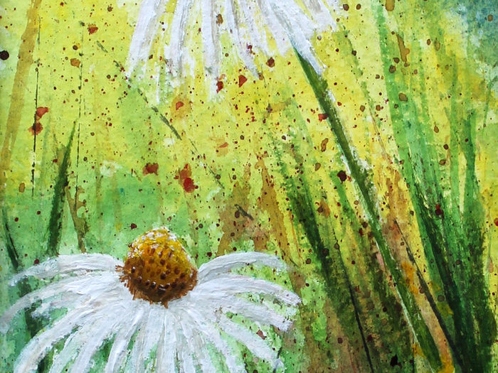 Three daisies watercolour