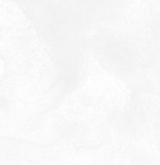 Background (white grain)