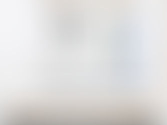 Cleanroom Step Over Bench